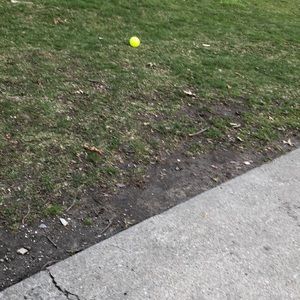 Meet your Posher, Jeanette